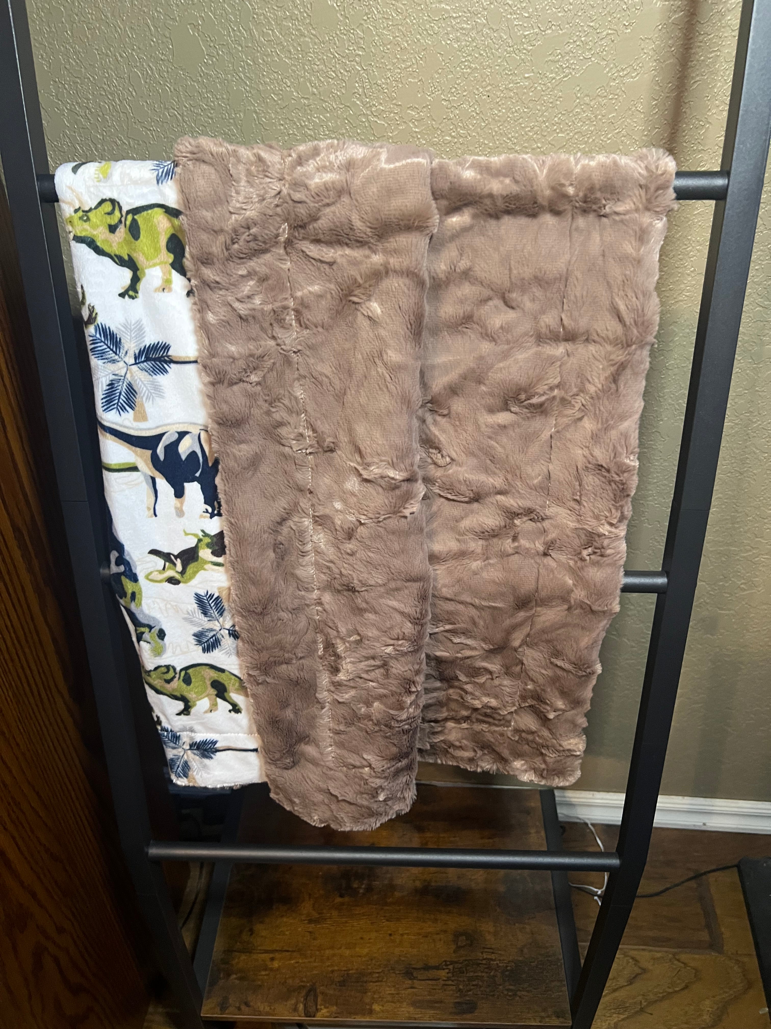 Minky Baby Blanket - Dinosaurs / Brown Hide