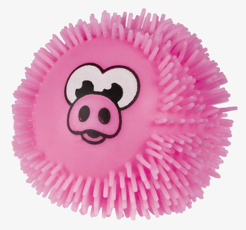 Farm Fresh When Pigs Fly Slingshot